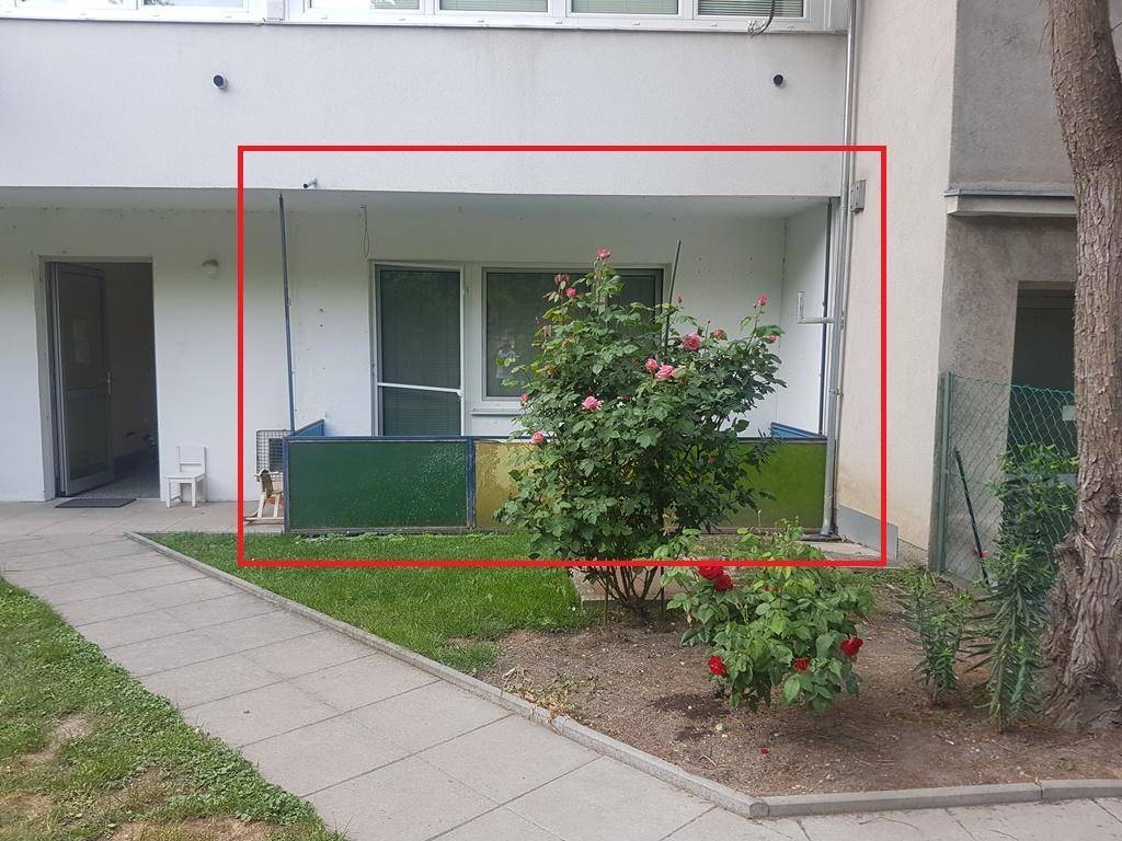 Überdachter Außenbereich im Erdgeschoss mit Rosenbusch und Blick in den Garten.