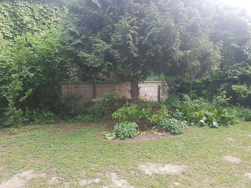 Gartenbereich mit Rasen, Blumenbeet und hohen Bäumen im Hintergrund.