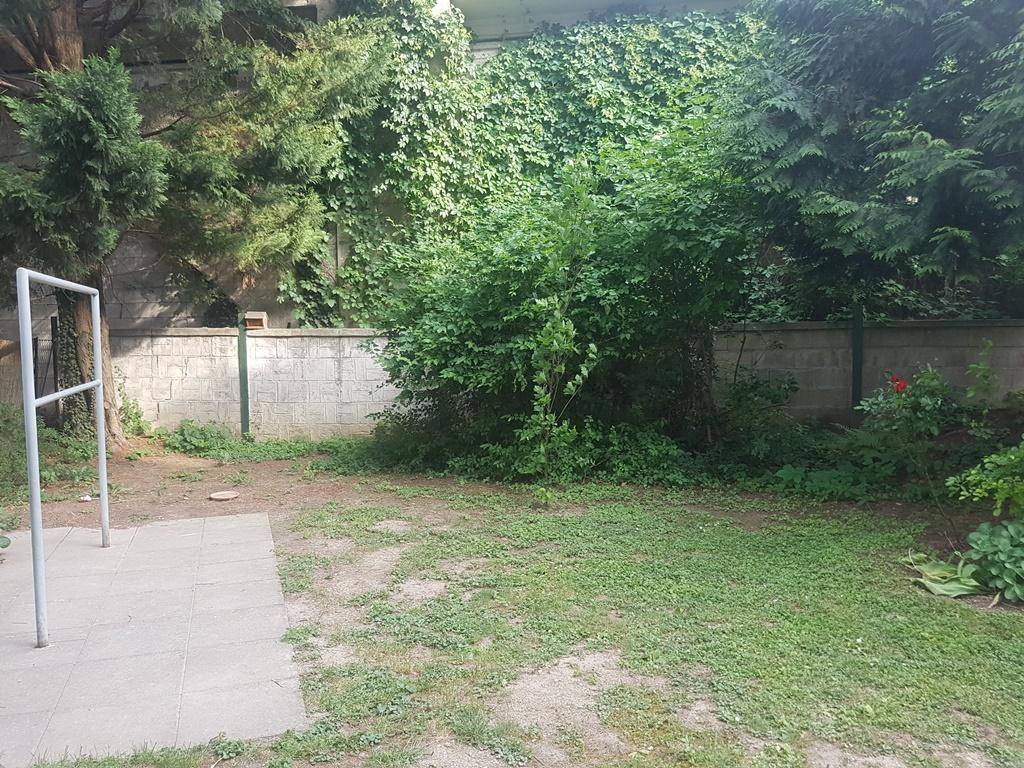 Grüner Garten mit Rasen und dichtem Bewuchs, der eine private Atmosphäre schafft.
