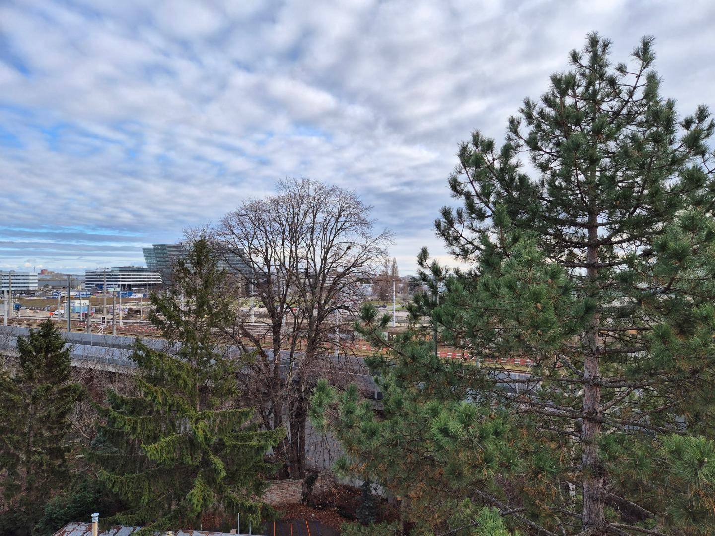 Panoramablick über die Stadtlandschaft mit dichten Baumreihen und urbanen Gebäuden im Hintergrund.