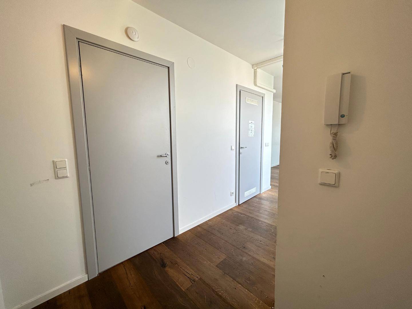 Heller Flur mit Holzdielenboden, weißen Wänden und modernen grauen Türen sowie einer Gegensprechanlage.