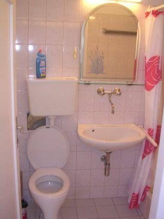 Badezimmer mit WC, Waschbecken, Spiegel und rosa-weißem Duschvorhang.