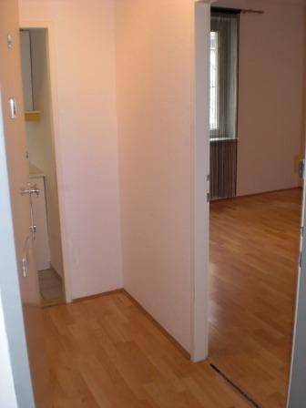 Heller Flur mit Holzfußboden, der zu einem weiteren Raum und einem Badezimmer führt.