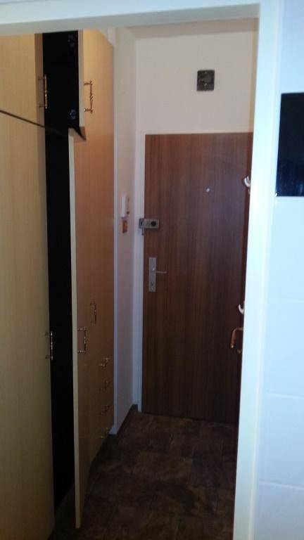Schmaler Flur mit dunklem Fliesenboden und einer Holztür, die den Eingangsbereich bildet.