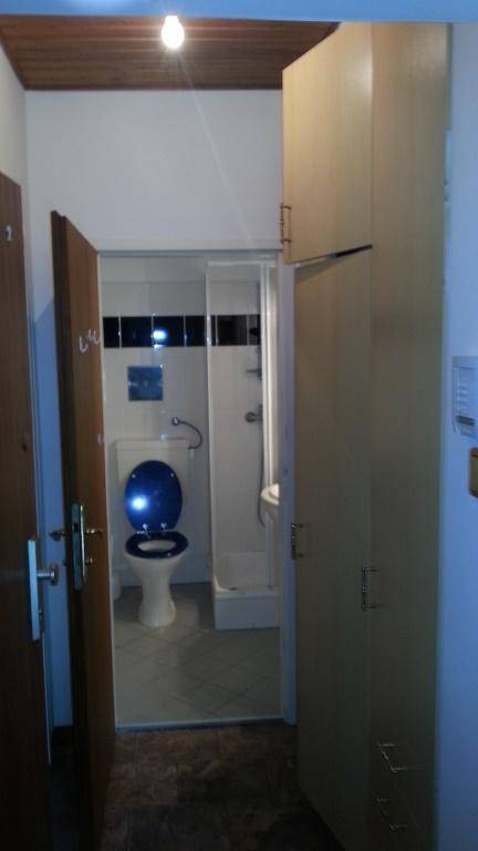 Flur mit Schränken, der zu einem Badezimmer mit Toilette und Dusche führt.