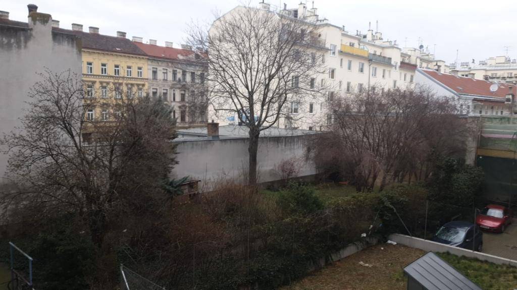 Blick über einen städtischen Hinterhofgarten mit Bäumen, umgeben von Wohngebäuden.