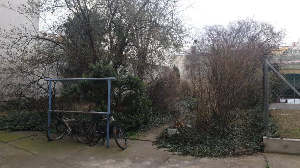 Hinterhofgarten mit verschiedenen Bäumen und Sträuchern, umgeben von einer Betonfläche.