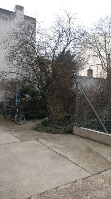 Ungepflegter Gartenbereich im Hinterhof mit kahlen Bäumen und Betonflächen.