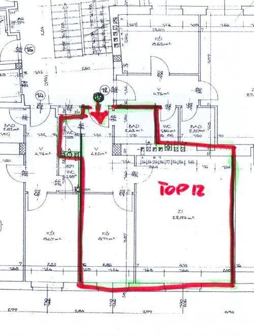 Handgezeichneter Grundriss einer Wohnung mit mehreren Zimmern, Bädern und WC.