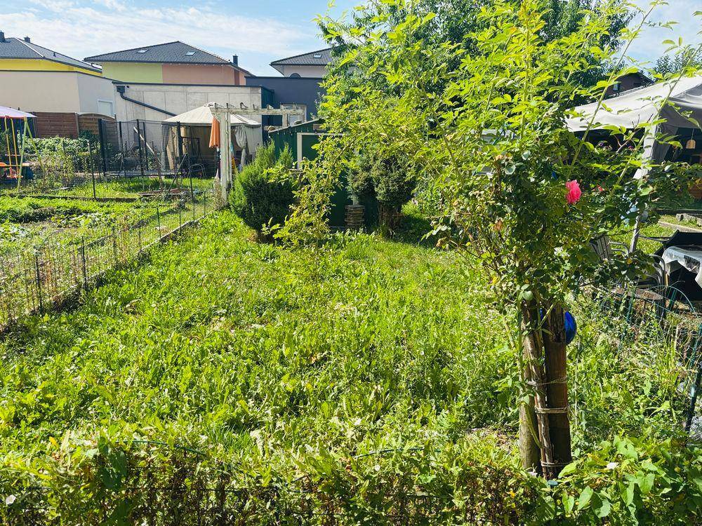 Großer, sonniger Gartenbereich mit viel Grün und Potenzial zur Gestaltung.