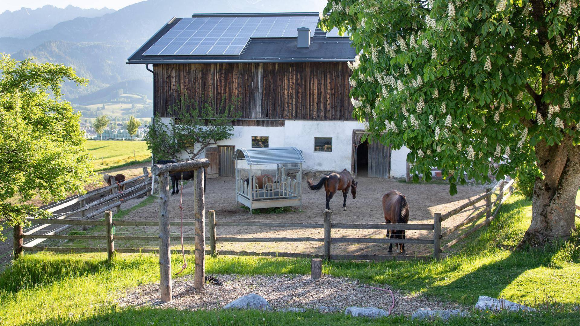 Klampfererhof-135