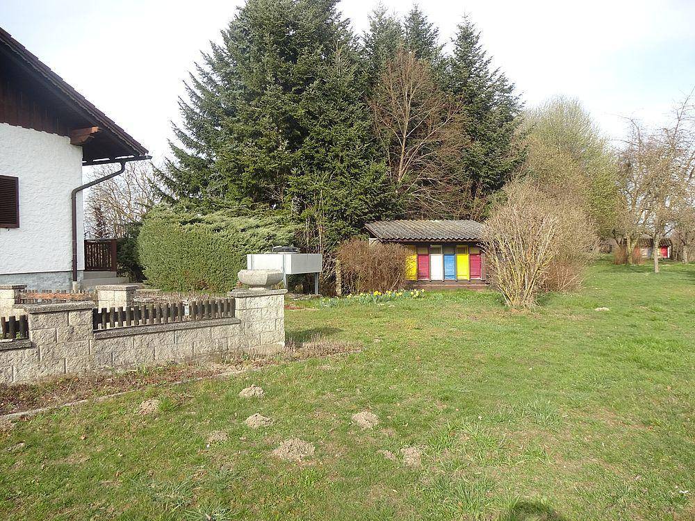 Großer Gartenbereich mit hohen Nadelbäumen, Rasenfläche und einem kleinen bunten Gartenhaus.