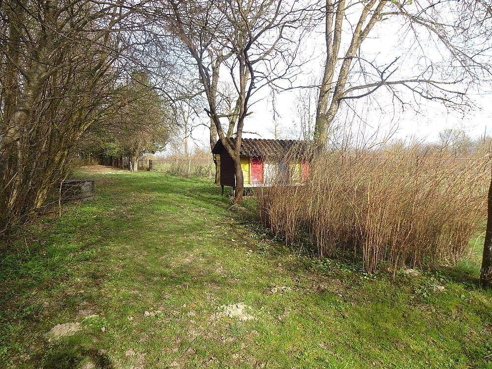 Grüner Gartenweg umgeben von Bäumen und Sträuchern, mit einem kleinen Gebäude im Hintergrund.