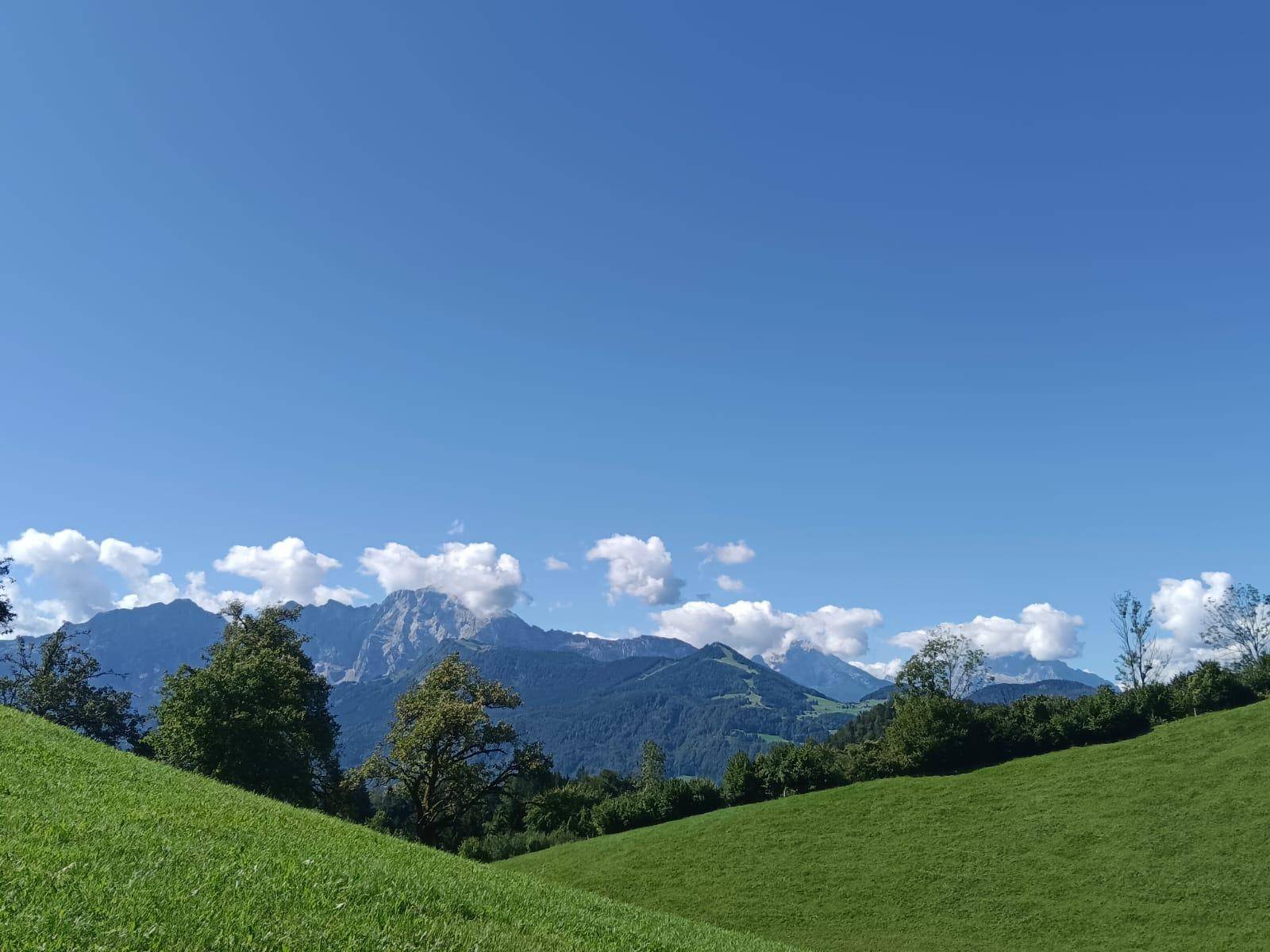Weitläufige grüne Hügellandschaft unter blauem Himmel mit beeindruckendem Alpenpanorama im Hintergrund.