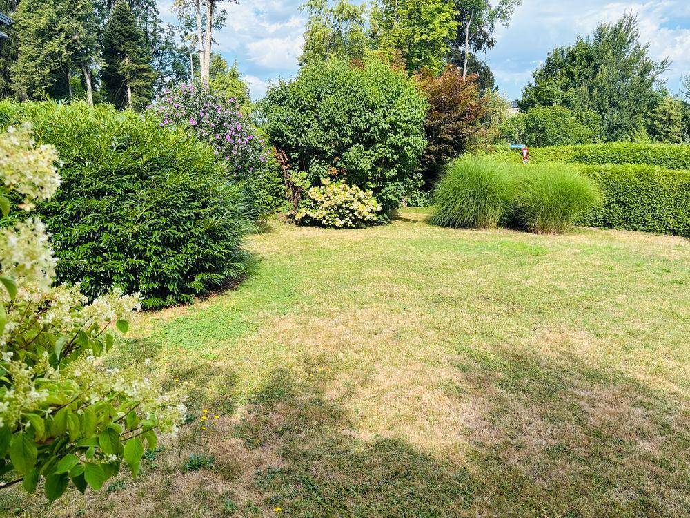 Weitläufiger Garten mit verschiedenen Sträuchern, Bäumen und einer gepflegten Rasenfläche.