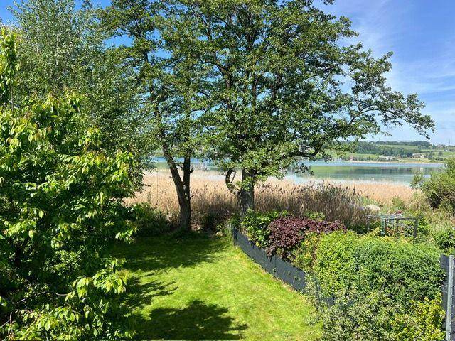 Idyllischer Gartenbereich mit altem Baumbestand und weitem Blick auf einen See.