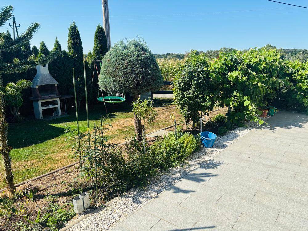 Grüner Gartenbereich mit gemauertem Grillplatz und Schaukel, ideal für entspannte Stunden im Freien.