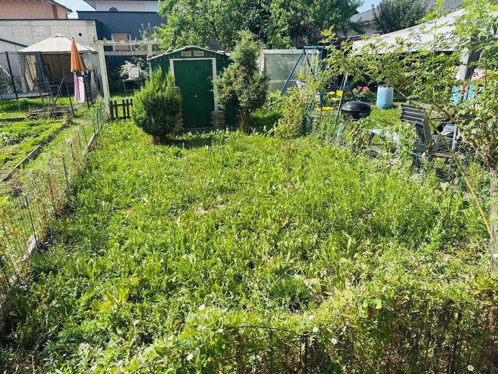 Weitläufiger Garten mit Gartenhaus, Grillplatz und viel ungenutzter Fläche.