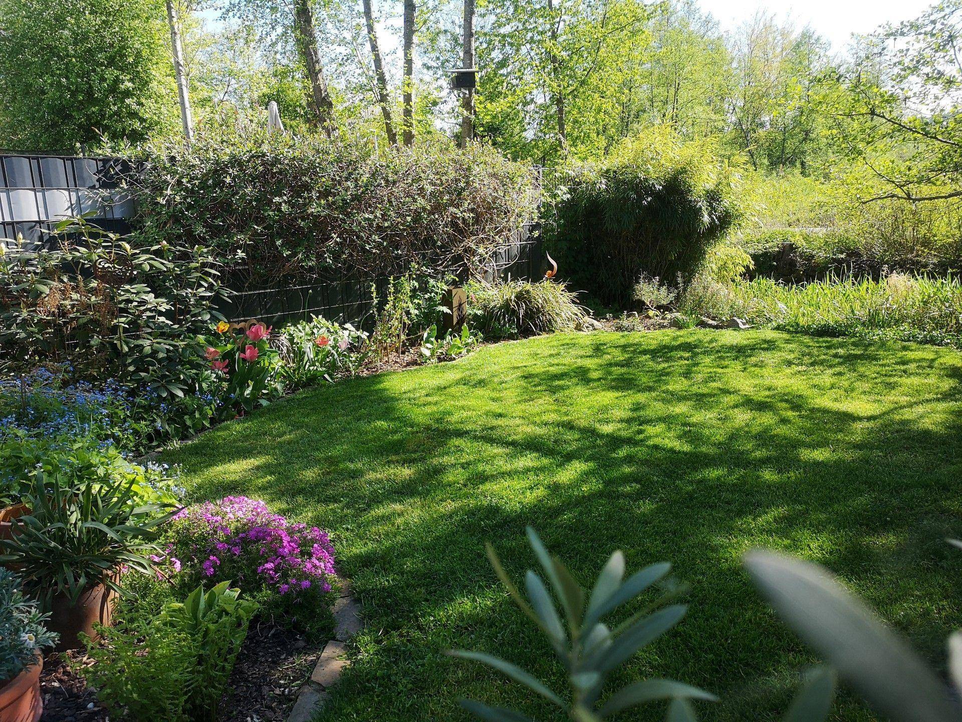 Sonnige Rasenfläche mit üppiger Bepflanzung und Hecken im Hintergrund.