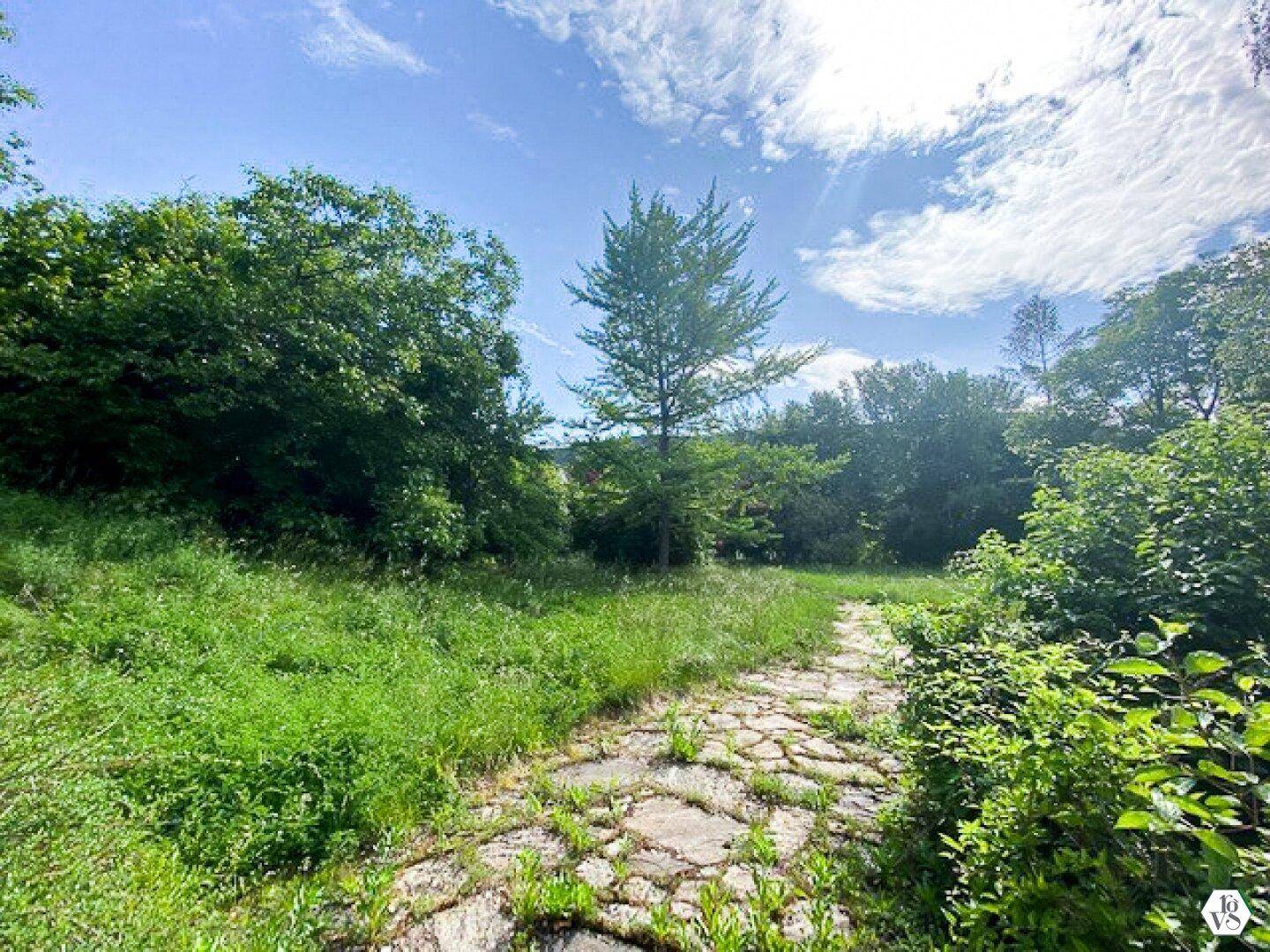 Grüner Gartenbereich mit einem alten Steinpfad, umgeben von Bäumen und Sträuchern unter hellem Himmel.