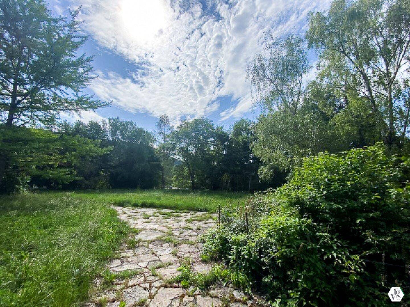 Sonniger Gartenbereich mit einem alten Steinplattenweg, umgeben von dichtem Grün und Bäumen.