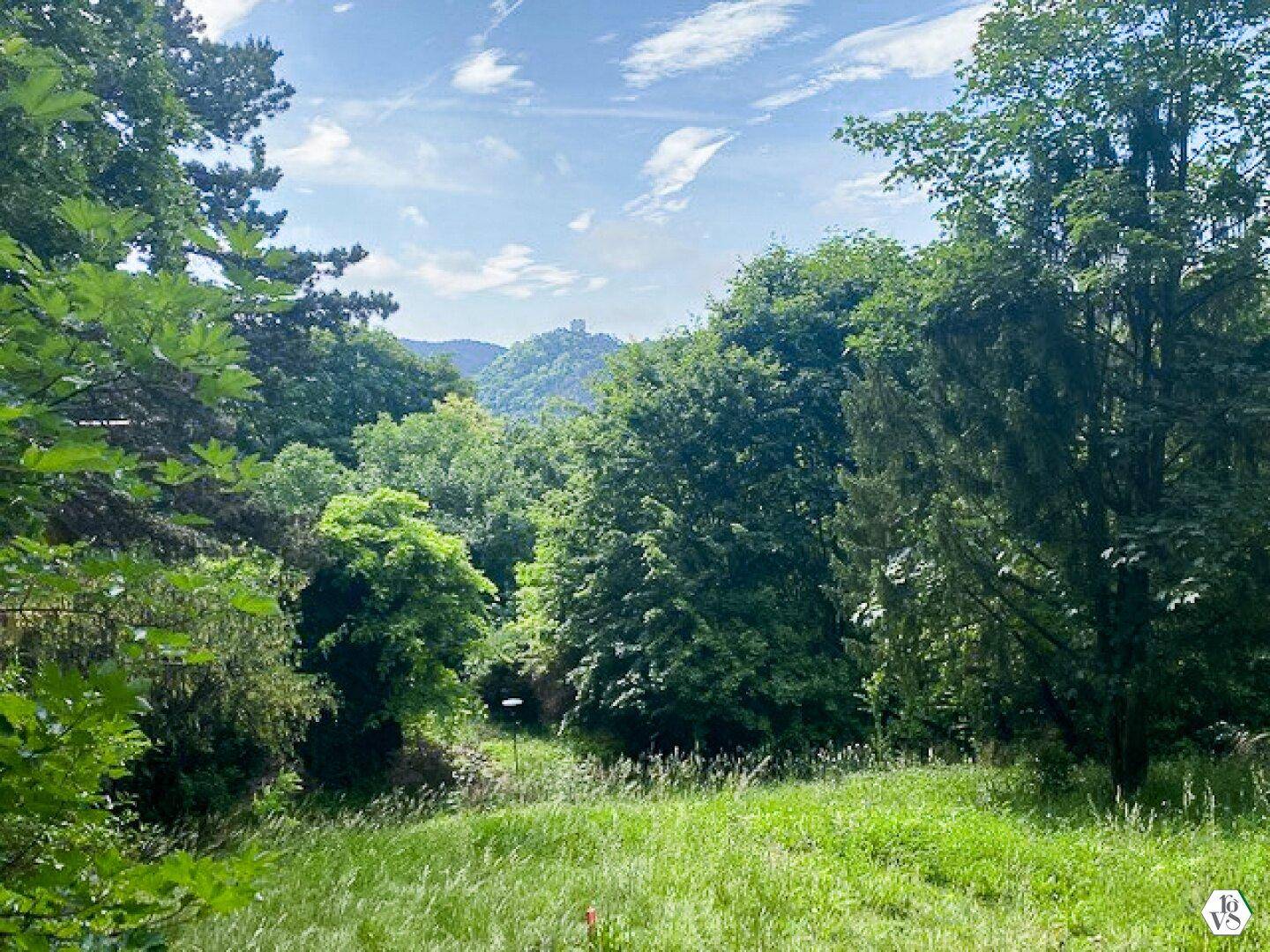 Weitläufige grüne Landschaft mit dichtem Baumbestand und einem Schloss in der Ferne unter blauem Himmel.