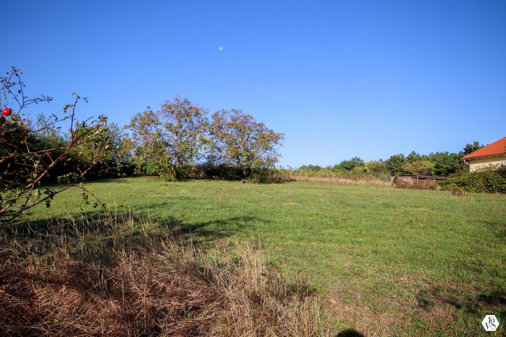 Weitläufige grüne Wiese mit vereinzelten Bäumen unter klarem blauem Himmel, ideal für Erholung.