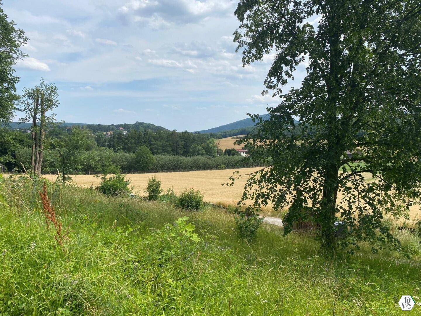 Weitläufige ländliche Szenerie mit reifen Feldern, üppigen Bäumen und sanften Hügeln unter bewölktem Himmel.