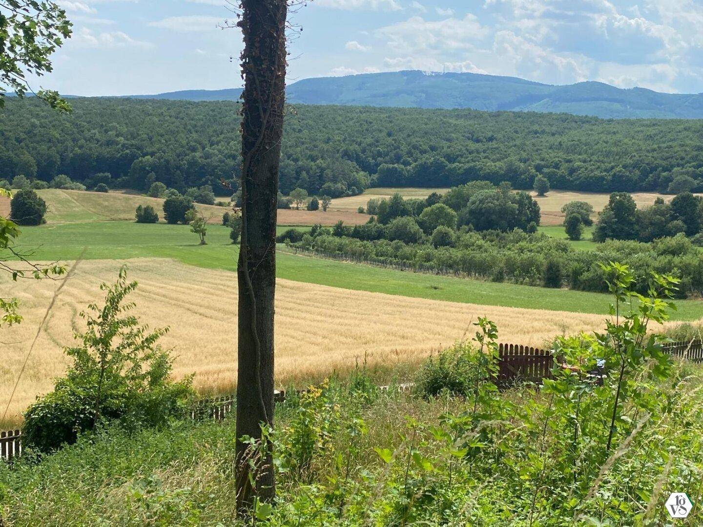 Ruhige ländliche Aussicht mit weiten Feldern, grünen Wäldern und einem einzelnen Baumstamm im Vordergrund.