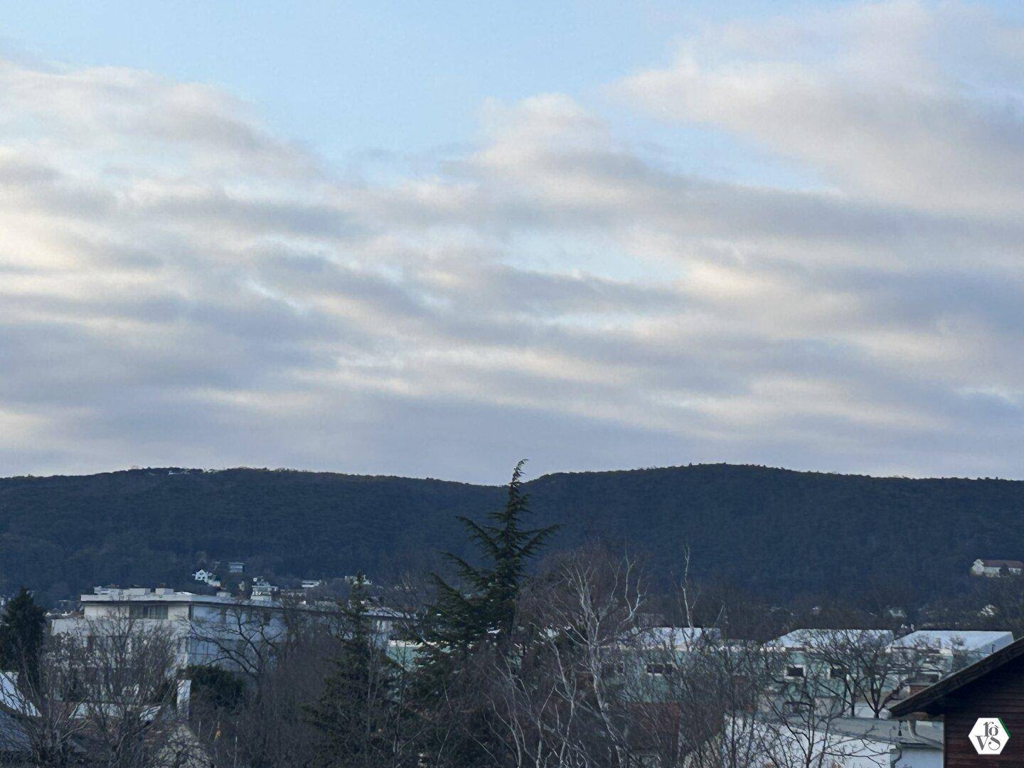 Weitläufiger Blick über die Stadt und bewaldete Hügel unter einem bewölkten Himmel.