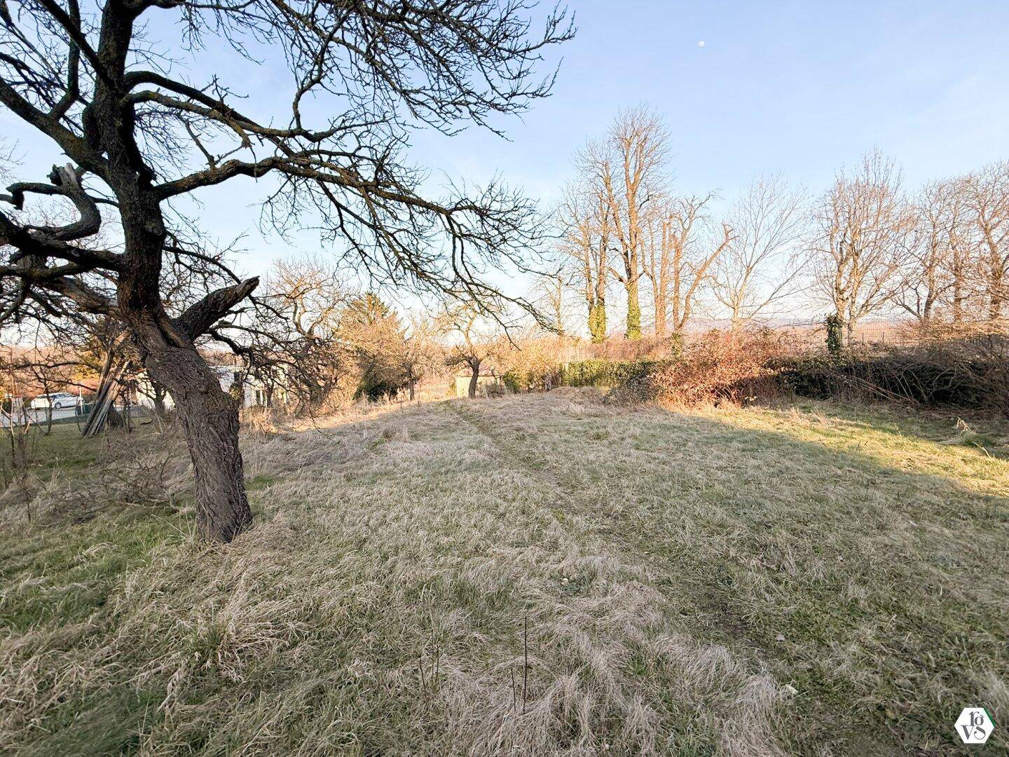Hügeliges, grasbewachsenes Grundstück mit altem Baum und weitem Blick.