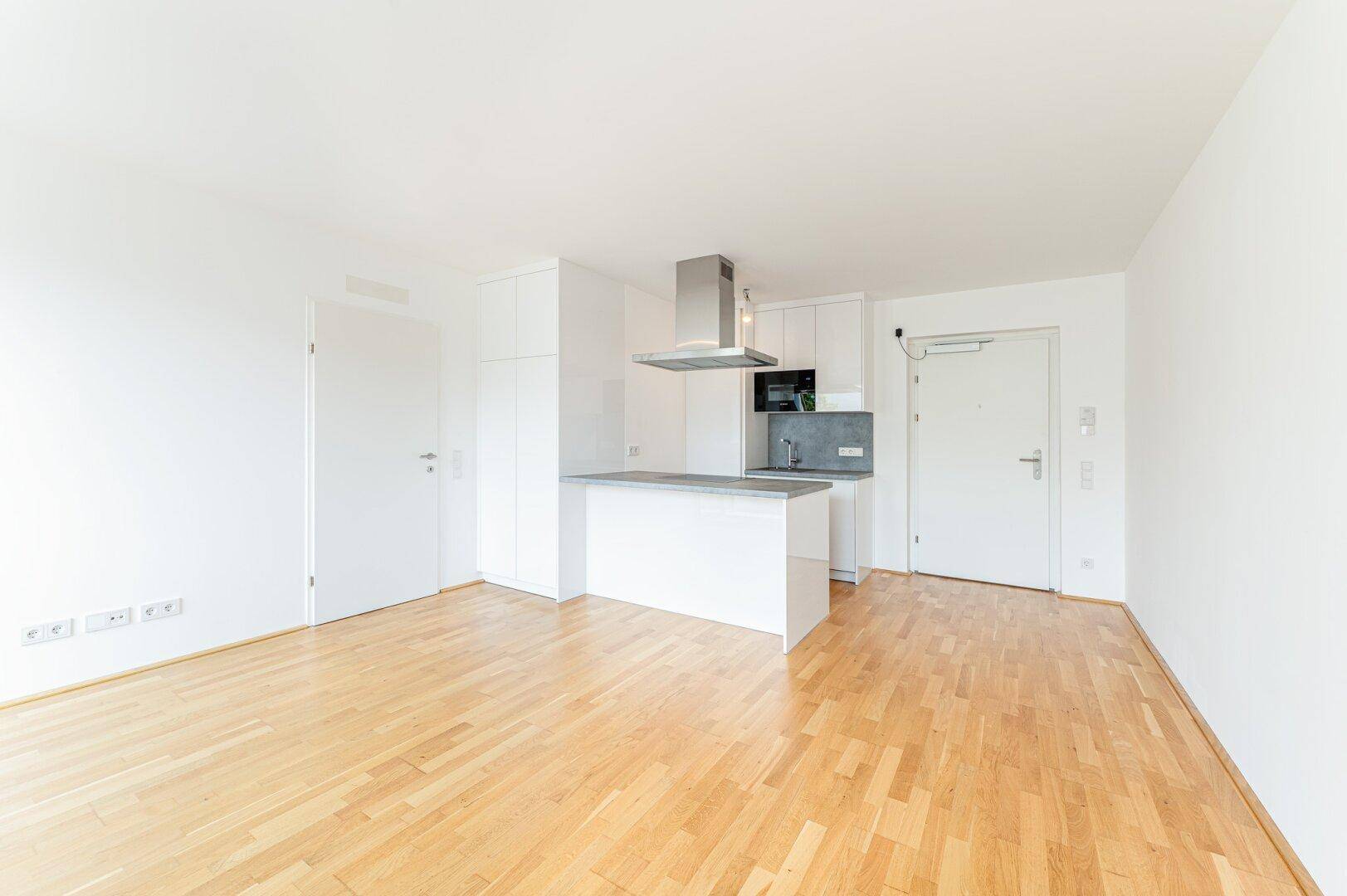 Heller Wohnbereich mit integrierter Küchenzeile, Holzboden und Zugang zur Wohnungstür.