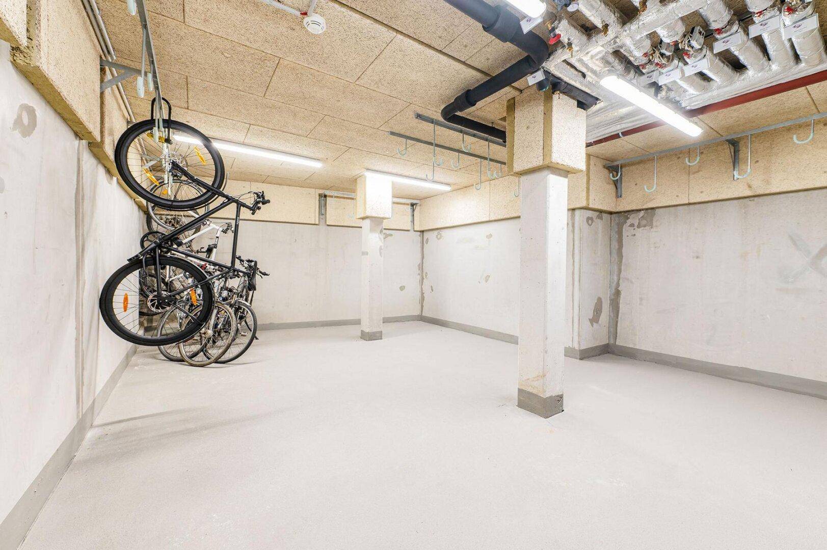 Geräumiger Fahrradraum im Keller mit Aufhängesystemen für Fahrräder und funktionaler Beleuchtung.