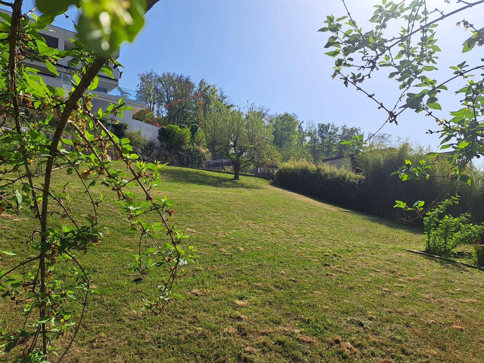 Sonnige grüne Hanglage mit Bäumen und modernen Gebäuden im Hintergrund unter blauem Himmel.