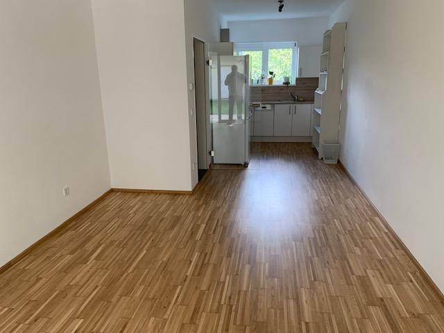 Offener Wohnbereich mit Laminatboden und integrierter Küche im Hintergrund.