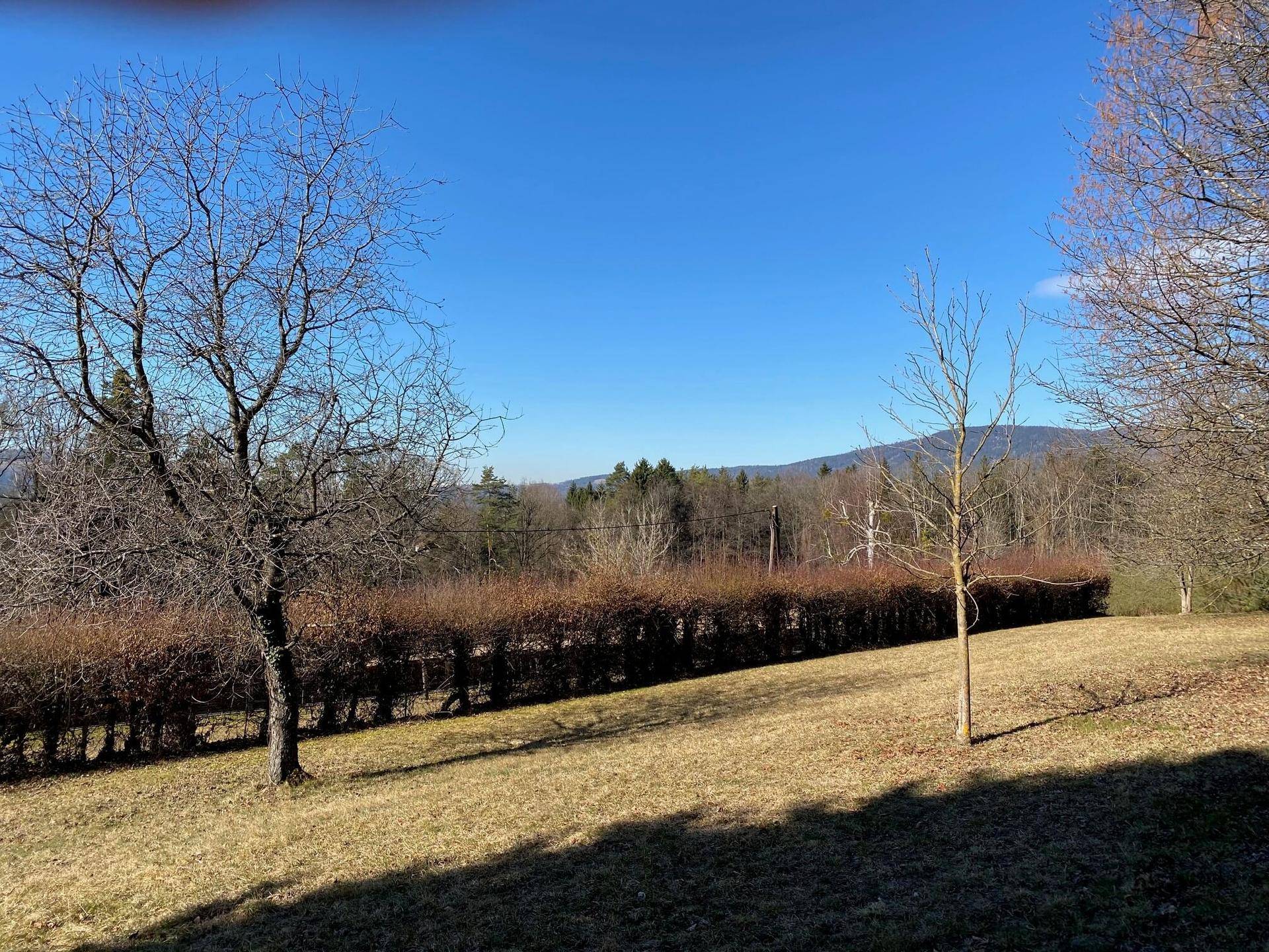 Gepflegter Gartenbereich mit Hecke und weitem Blick auf die umliegende Landschaft und Berge.