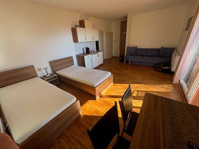 Geräumiges Studio-Apartment mit zwei Betten, Sofa und integrierter Küchenzeile mit Holzarbeitsplatte.