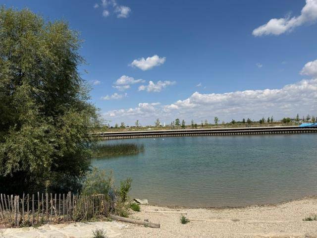 Malerischer Blick auf einen See mit sandigem Ufer und Bäumen unter einem weiten blauen Himmel.