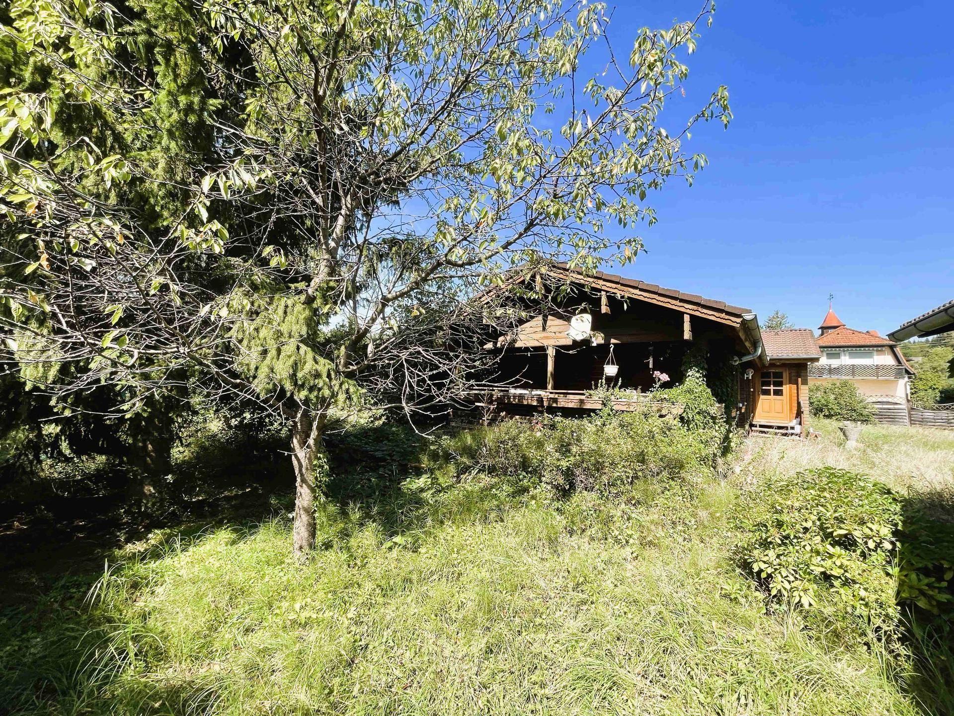 Rustikales Holzhaus eingebettet in eine grüne, verwilderte Gartenlandschaft unter blauem Himmel.
