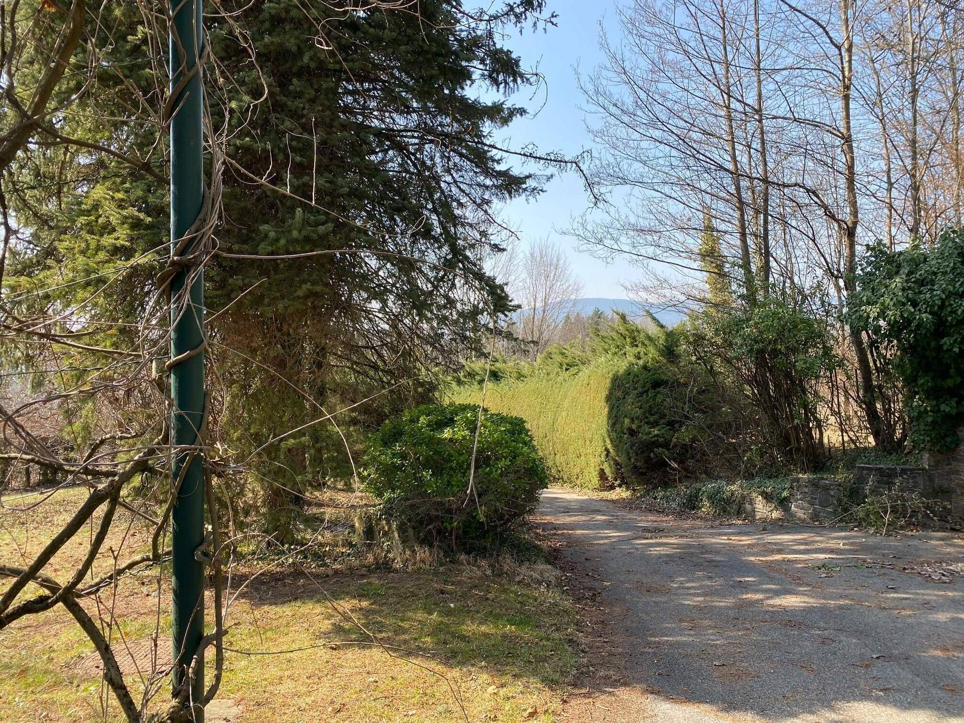 Zufahrtsweg durch eine grüne Allee mit Blick auf die hügelige Landschaft im Hintergrund.