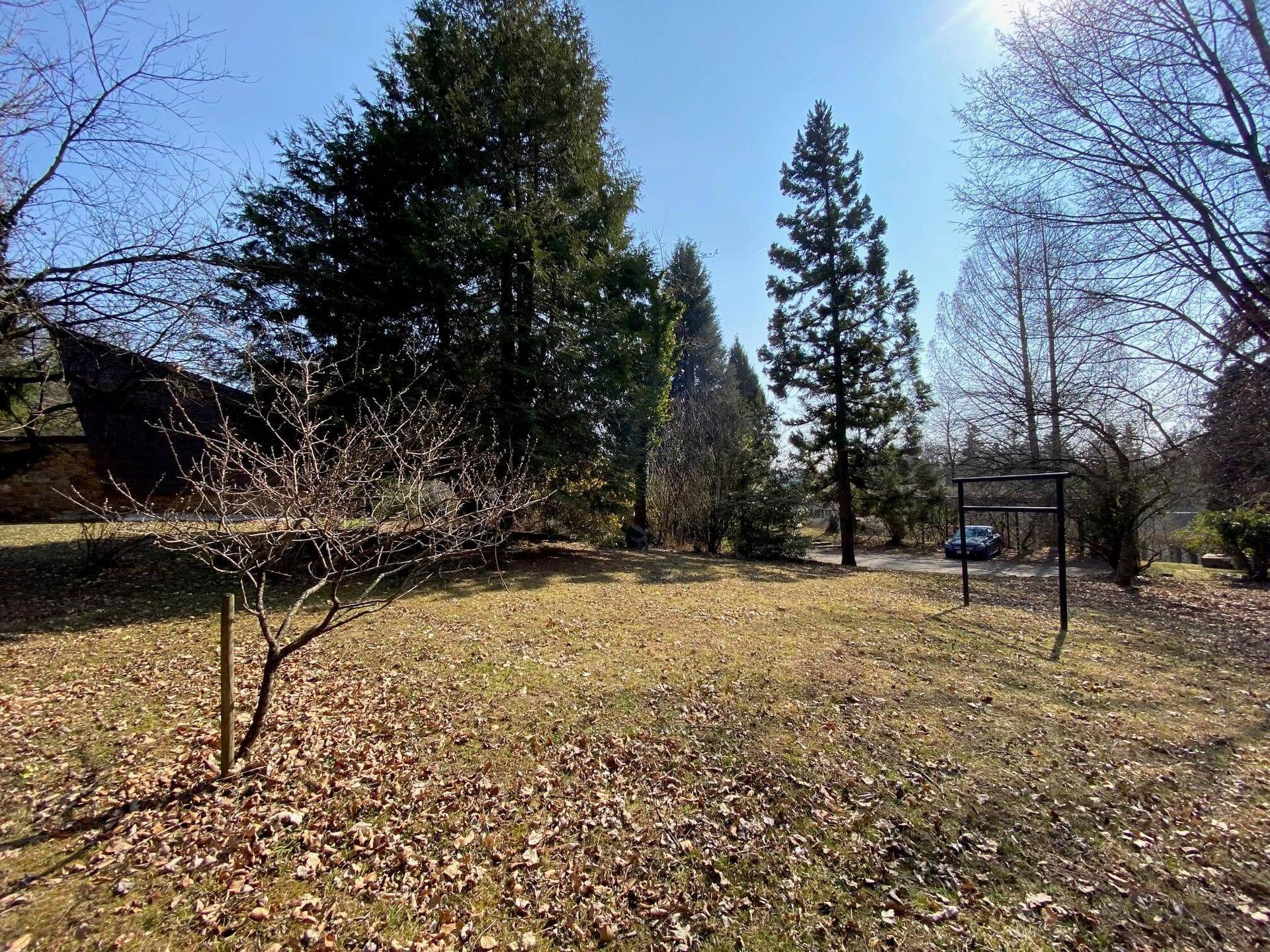 Sonniger, weitläufiger Garten mit altem Baumbestand und gepflegter Rasenfläche.