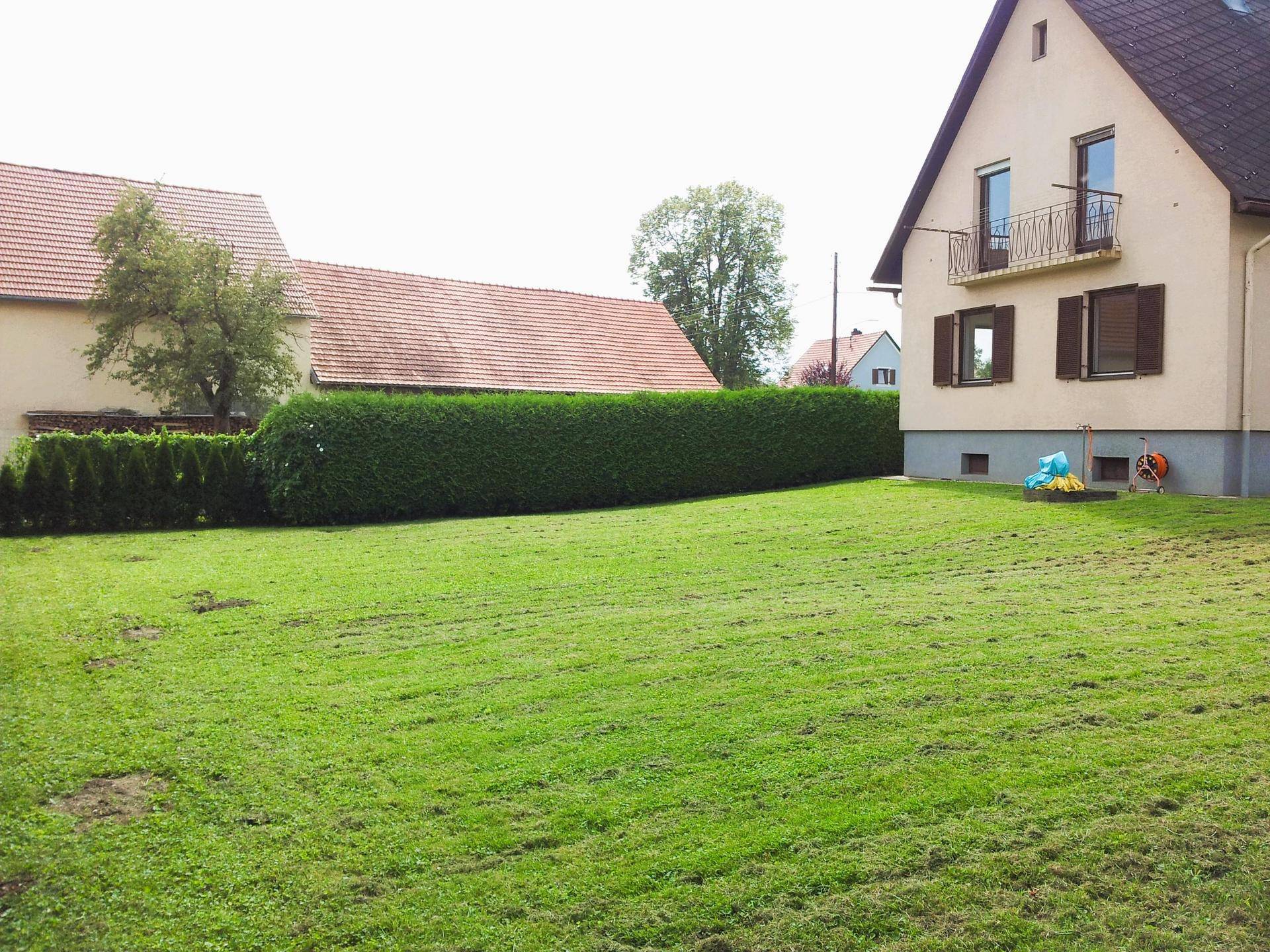 Große Rasenfläche neben dem Haus, umgeben von einer hohen Hecke für Privatsphäre.