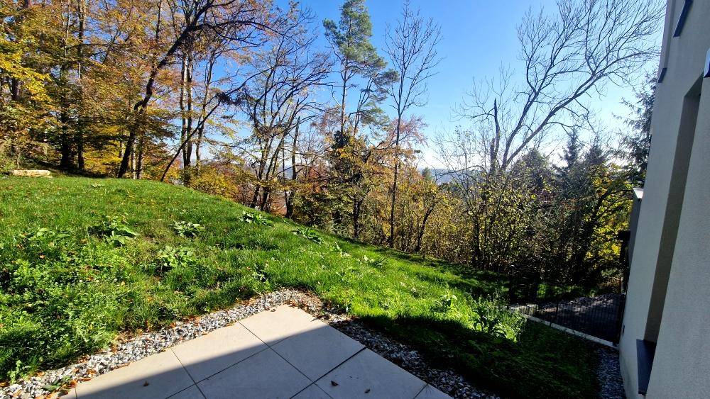 Grüner Gartenbereich mit Rasen und Kies, umgeben von Bäumen und Natur.