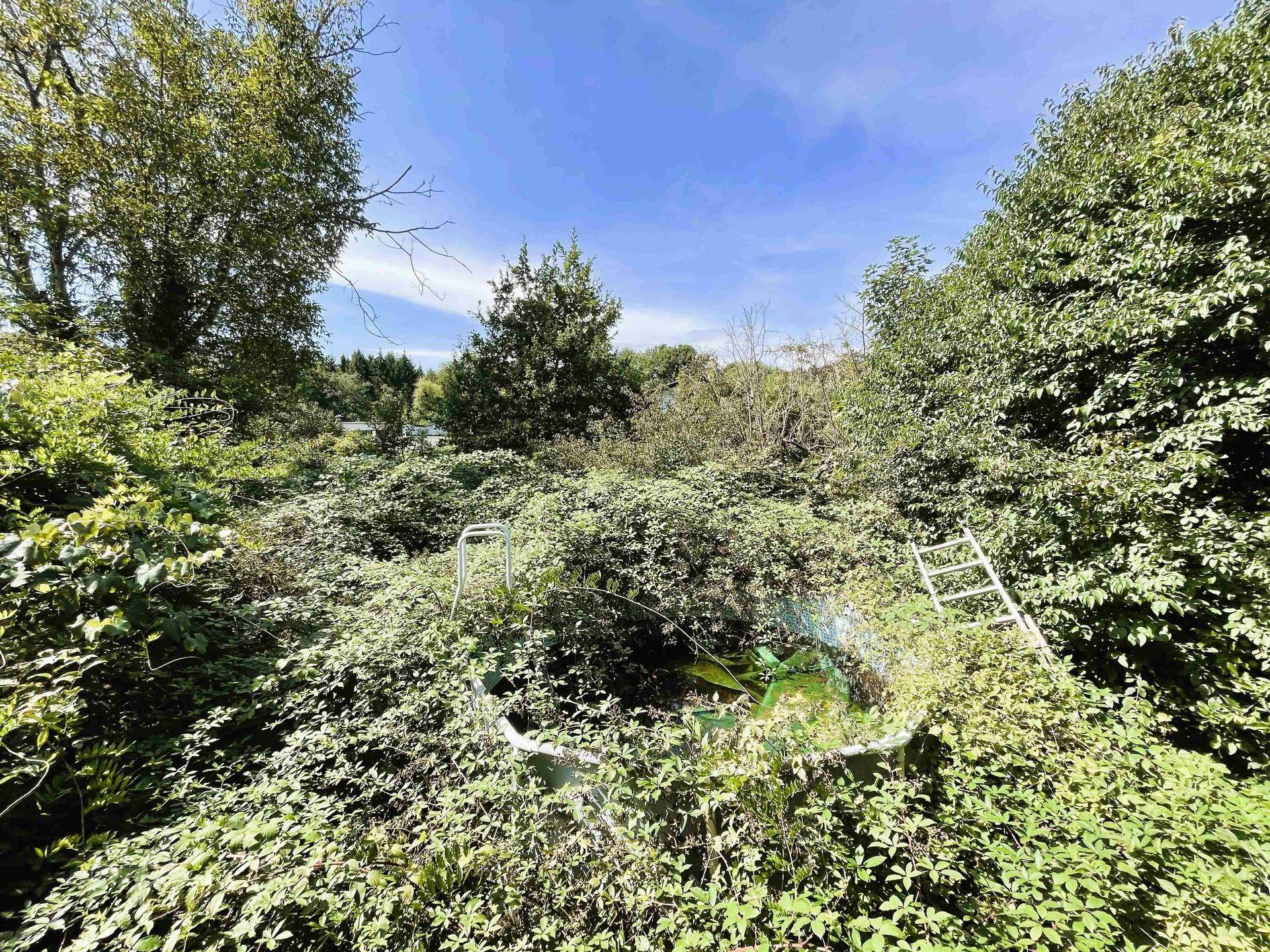 Stark verwilderter Gartenbereich mit einem von Pflanzen überwucherten Aufstellpool.