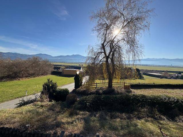 Sonniger Garten mit einem großen Baum und weitem Blick über die grüne Landschaft.