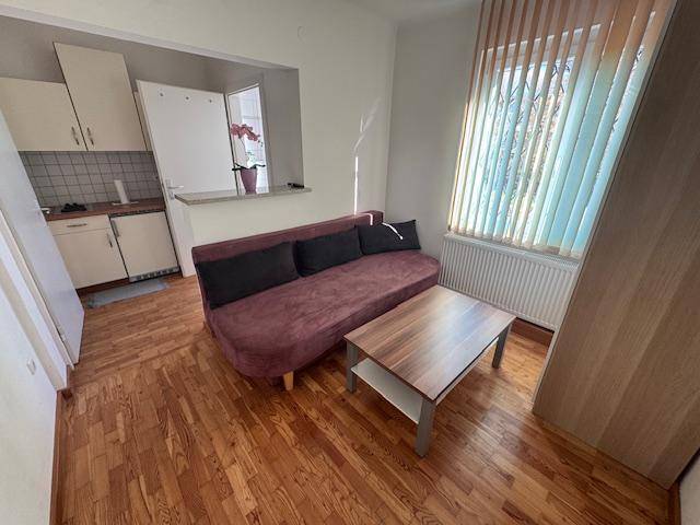 Gemütlicher Wohnbereich mit Sofa, Couchtisch und integrierter Küchenzeile.