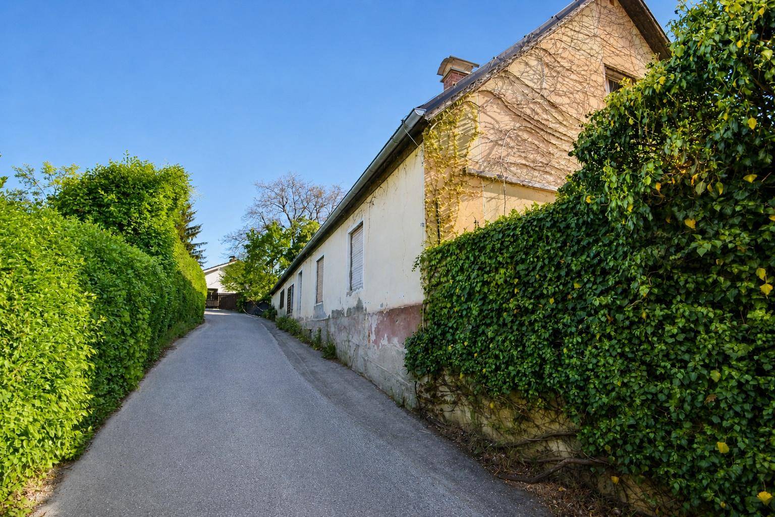 Altes Haus mit Efeubewuchs und hohen Hecken entlang eines schmalen Weges.