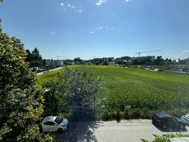 Weitläufiger Blick über grüne Felder und die umliegende Landschaft unter blauem Himmel.