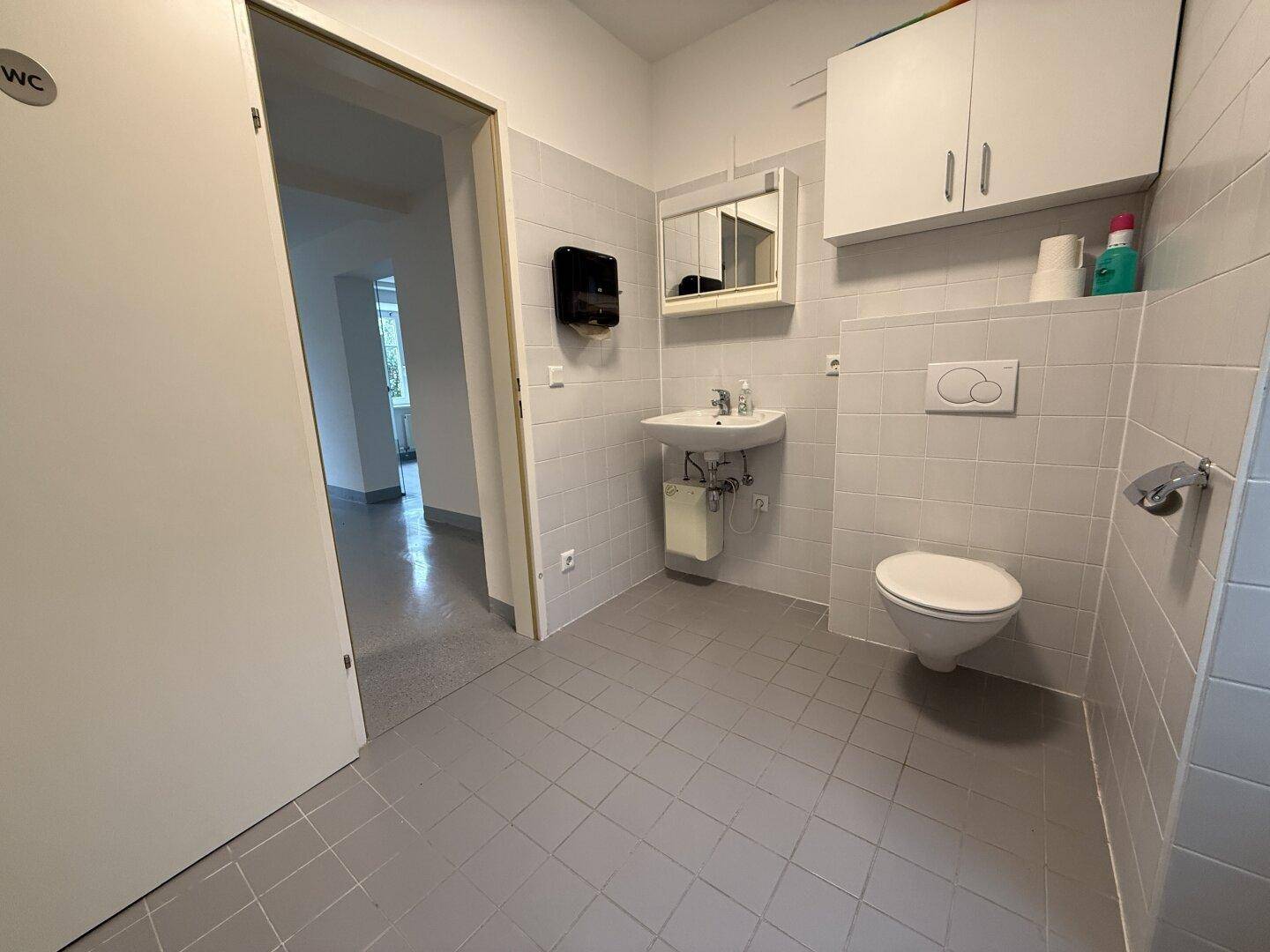 Einfaches Badezimmer mit WC, Waschbecken und Spiegelschrank, gefliest in hellgrauen Tönen.