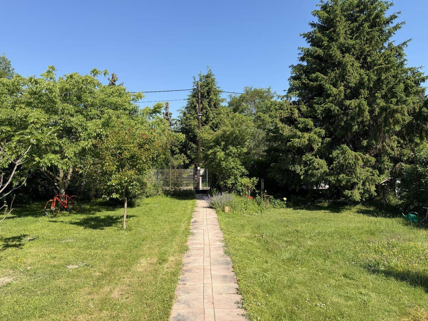 Langer gepflasterter Gartenweg, umgeben von Rasen und hohen Bäumen, führt zu einem Gartentor.